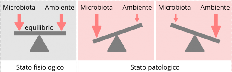 Microbiota ed equilibrio
